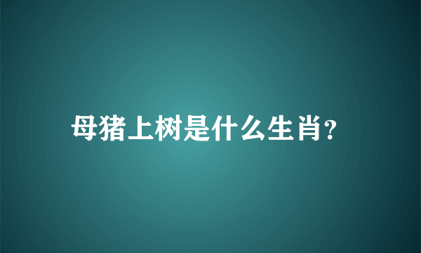 母猪上树是什么生肖？