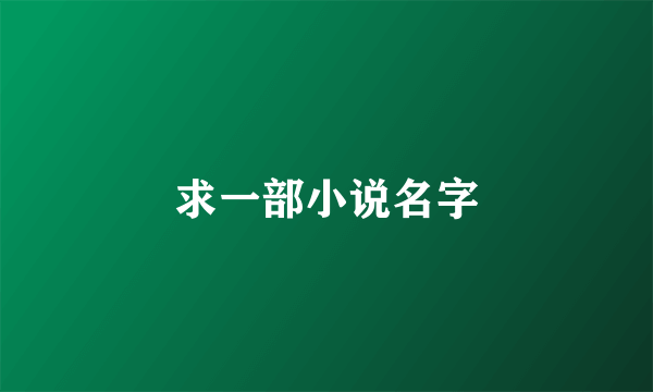 求一部小说名字