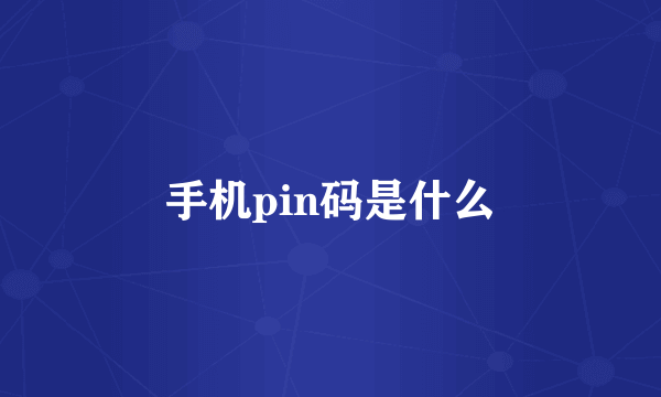 手机pin码是什么