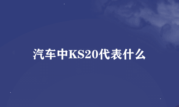 汽车中KS20代表什么