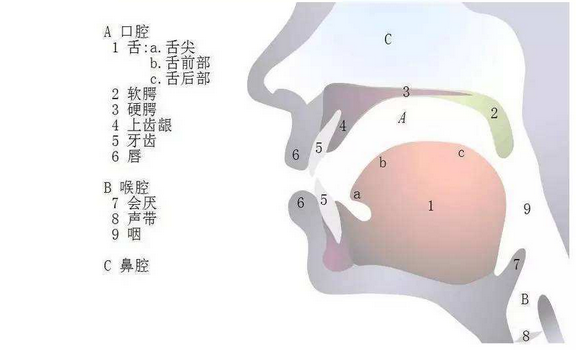 清辅音和浊辅音怎么区分，有哪些？