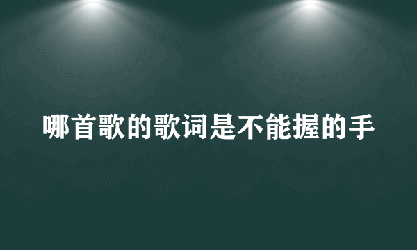 哪首歌的歌词是不能握的手