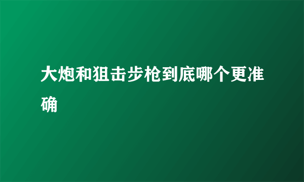 大炮和狙击步枪到底哪个更准确