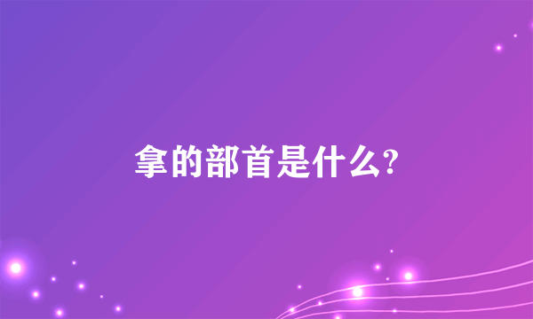 拿的部首是什么?