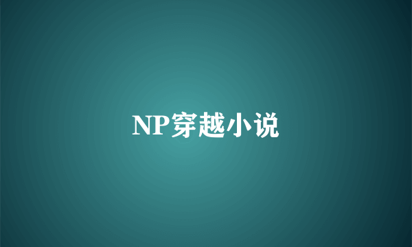 NP穿越小说