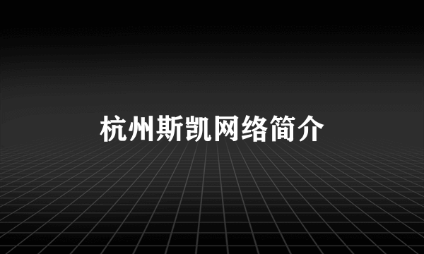 杭州斯凯网络简介