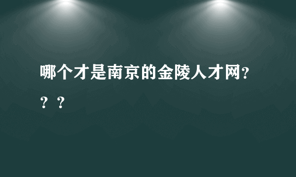 哪个才是南京的金陵人才网？？？