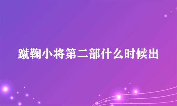 蹴鞠小将第二部什么时候出