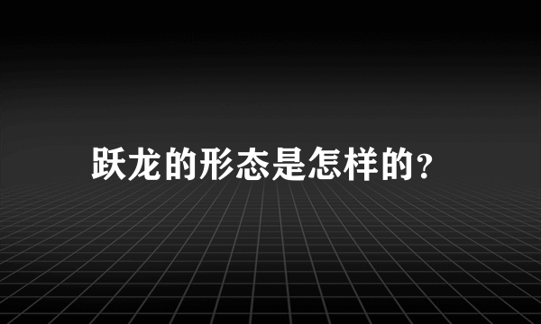 跃龙的形态是怎样的？