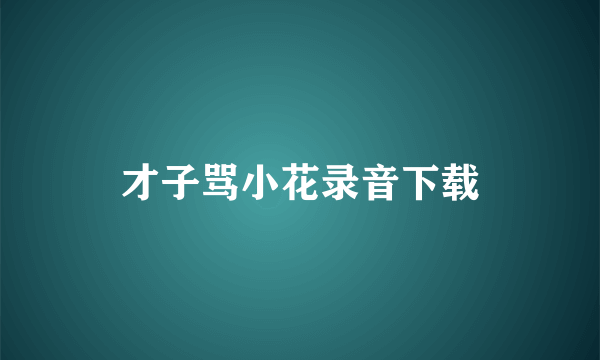 才子骂小花录音下载