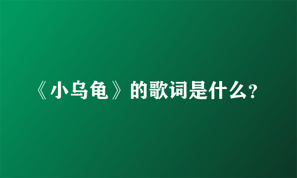 《小乌龟》的歌词是什么？