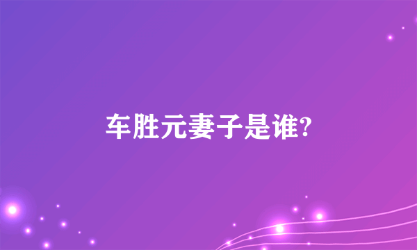 车胜元妻子是谁?