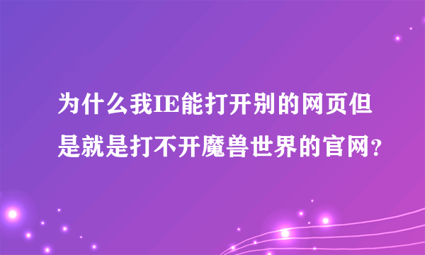 为什么我IE能打开别的网页但是就是打不开魔兽世界的官网？