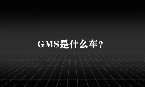 GMS是什么车？