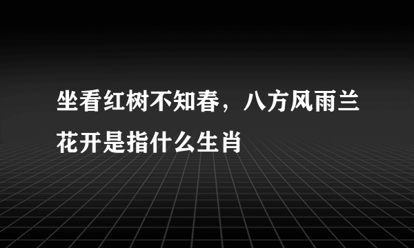 坐看红树不知春，八方风雨兰花开是指什么生肖