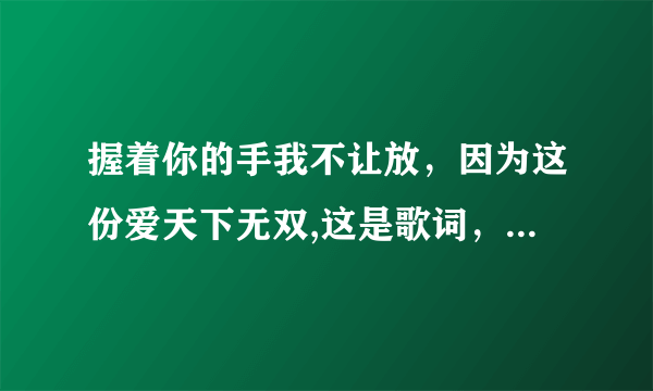 握着你的手我不让放，因为这份爱天下无双,这是歌词，这首歌名叫什么？