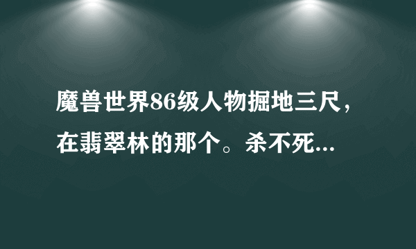 魔兽世界86级人物掘地三尺，在翡翠林的那个。杀不死多伦上尉。