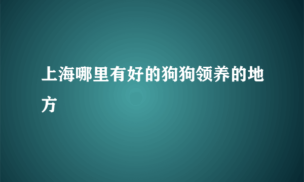 上海哪里有好的狗狗领养的地方