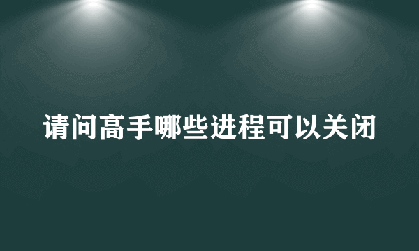 请问高手哪些进程可以关闭