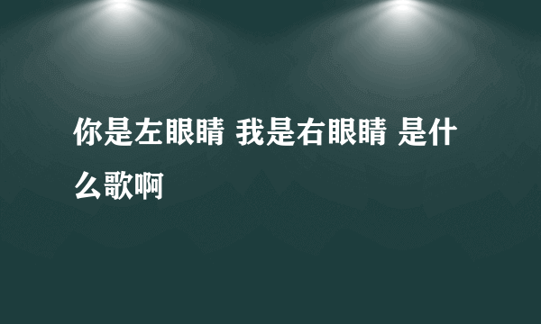 你是左眼睛 我是右眼睛 是什么歌啊