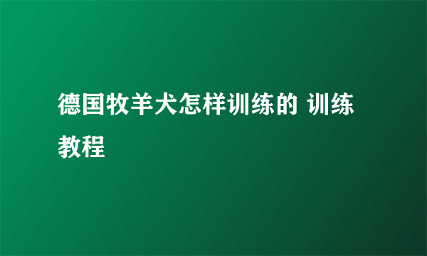 德国牧羊犬怎样训练的 训练教程