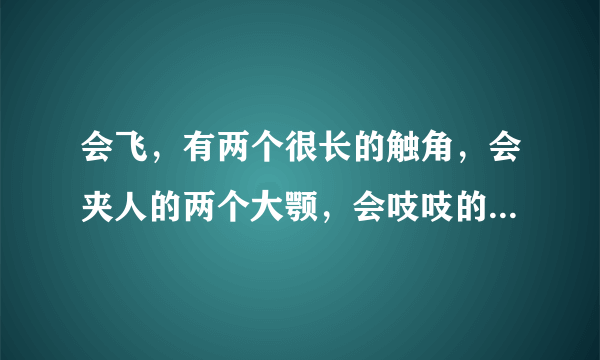 会飞，有两个很长的触角，会夹人的两个大颚，会吱吱的角 请问它咬人有毒吗 很严重吗 出血了怎么办?