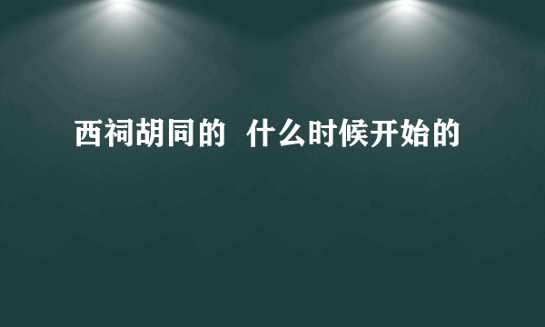 西祠胡同的  什么时候开始的