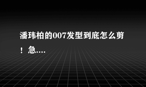 潘玮柏的007发型到底怎么剪！急....