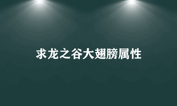 求龙之谷大翅膀属性