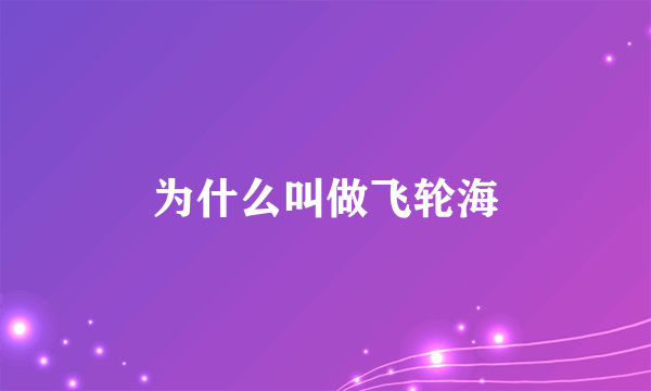 为什么叫做飞轮海