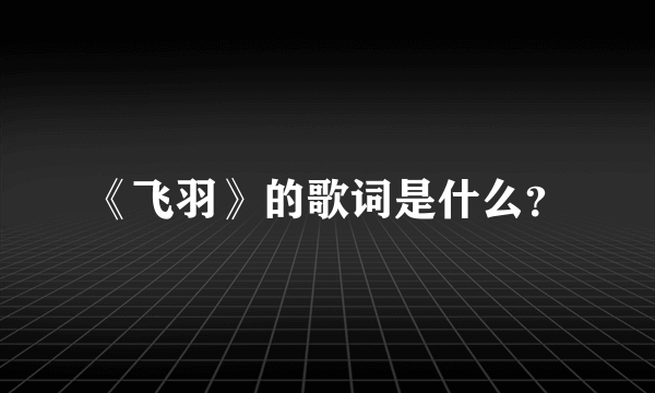 《飞羽》的歌词是什么？