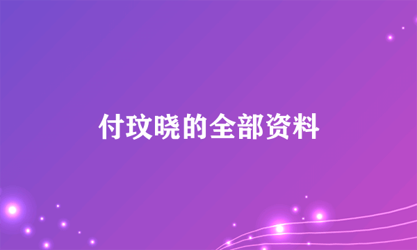 付玟晓的全部资料