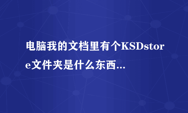 电脑我的文档里有个KSDstore文件夹是什么东西删掉可以么