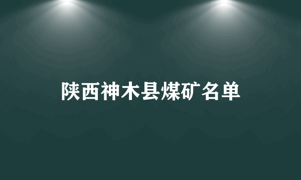 陕西神木县煤矿名单