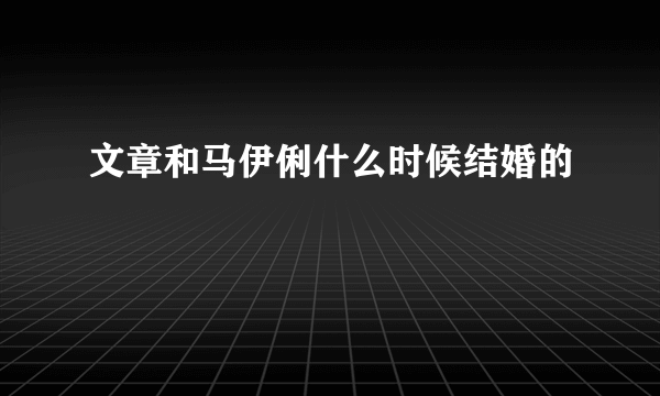 文章和马伊俐什么时候结婚的