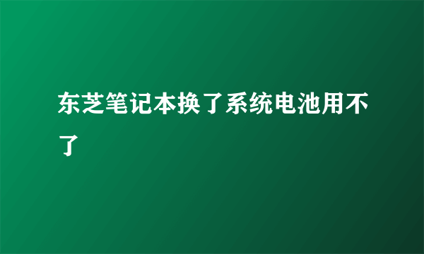 东芝笔记本换了系统电池用不了