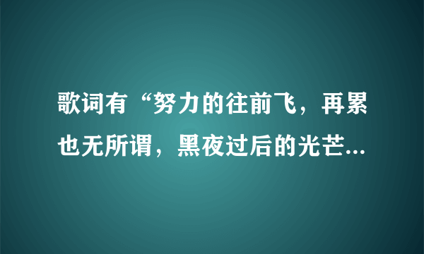 歌词有“努力的往前飞，再累也无所谓，黑夜过后的光芒有多美，就算有再大的风，也挡不住勇敢的冲动”歌名