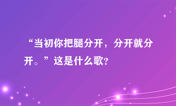 “当初你把腿分开，分开就分开。”这是什么歌？