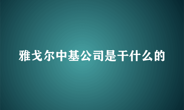 雅戈尔中基公司是干什么的