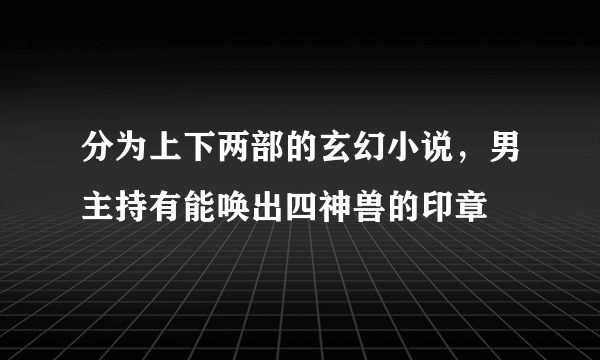 分为上下两部的玄幻小说，男主持有能唤出四神兽的印章