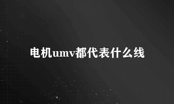 电机umv都代表什么线