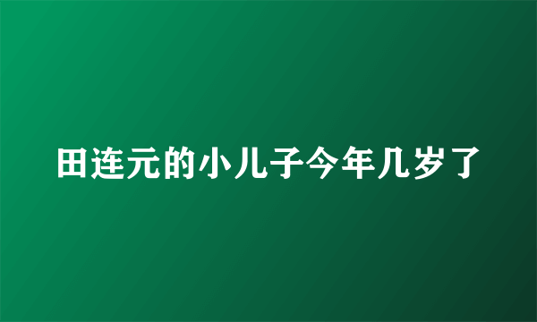 田连元的小儿子今年几岁了