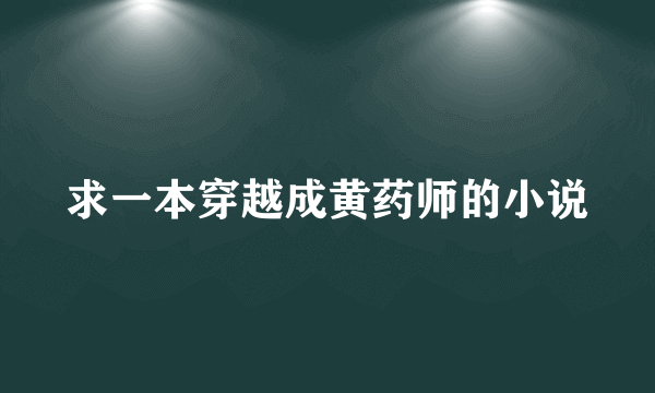 求一本穿越成黄药师的小说