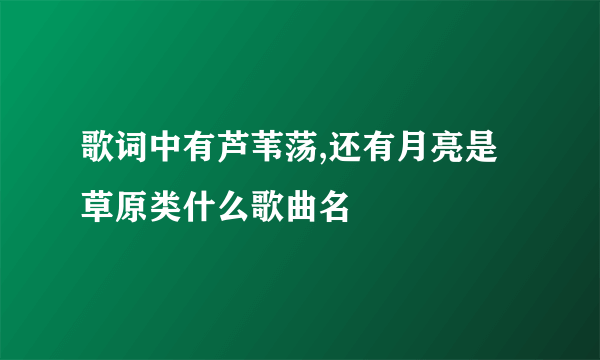 歌词中有芦苇荡,还有月亮是草原类什么歌曲名