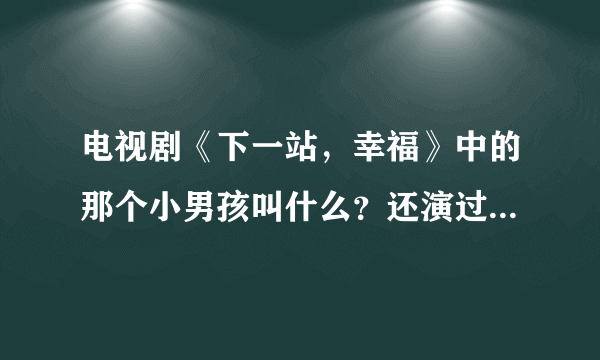 电视剧《下一站，幸福》中的那个小男孩叫什么？还演过什么电视啊？