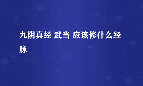 九阴真经 武当 应该修什么经脉