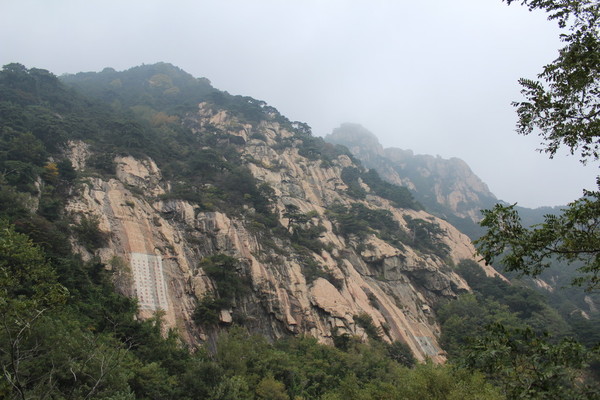 泰山门票怎么购买