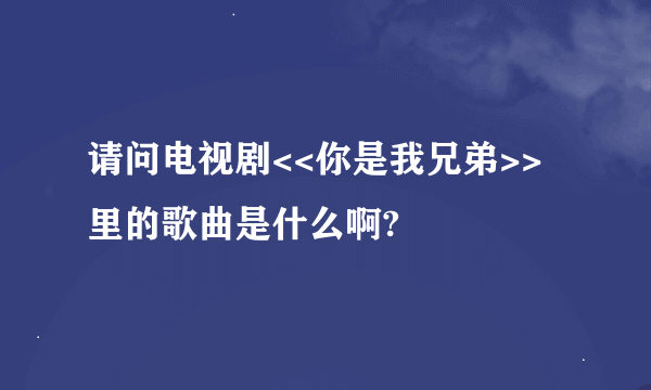 请问电视剧<<你是我兄弟>>里的歌曲是什么啊?