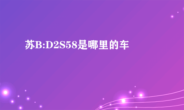 苏B:D2S58是哪里的车