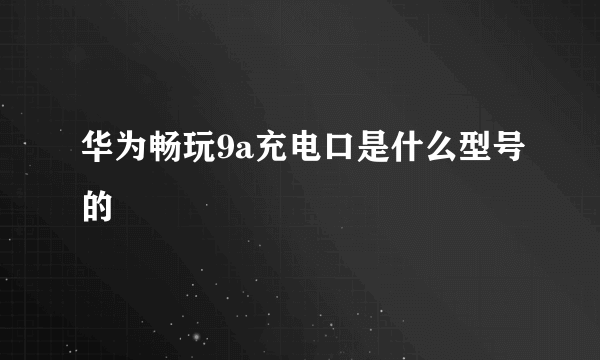 华为畅玩9a充电口是什么型号的